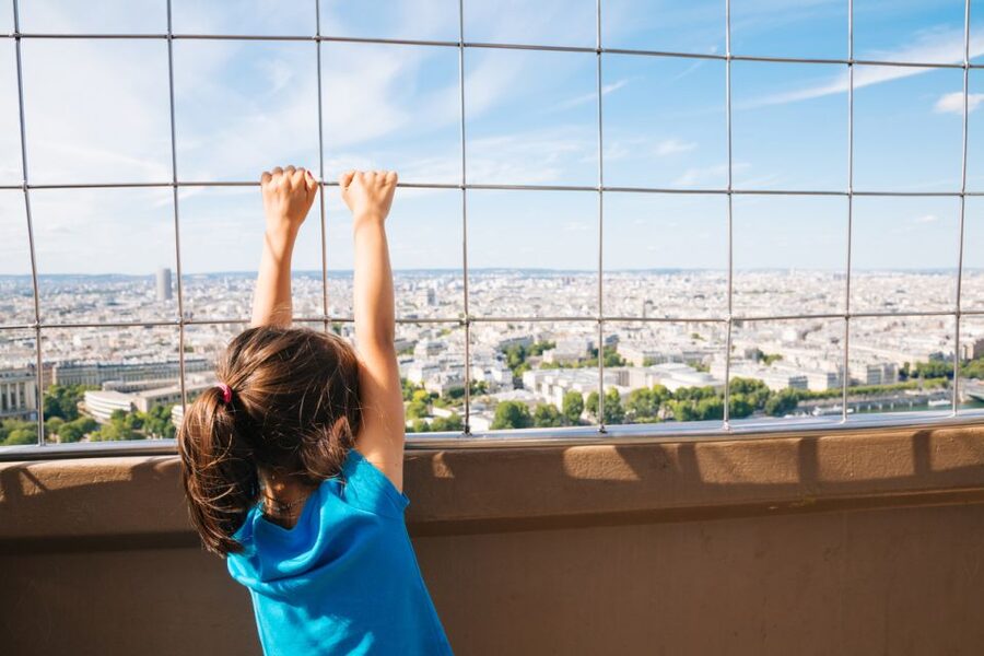 Paris: Access to the Eiffel Tower's 2nd Floor - The views toward Notre Dame, the Louvre, and Les Invalides