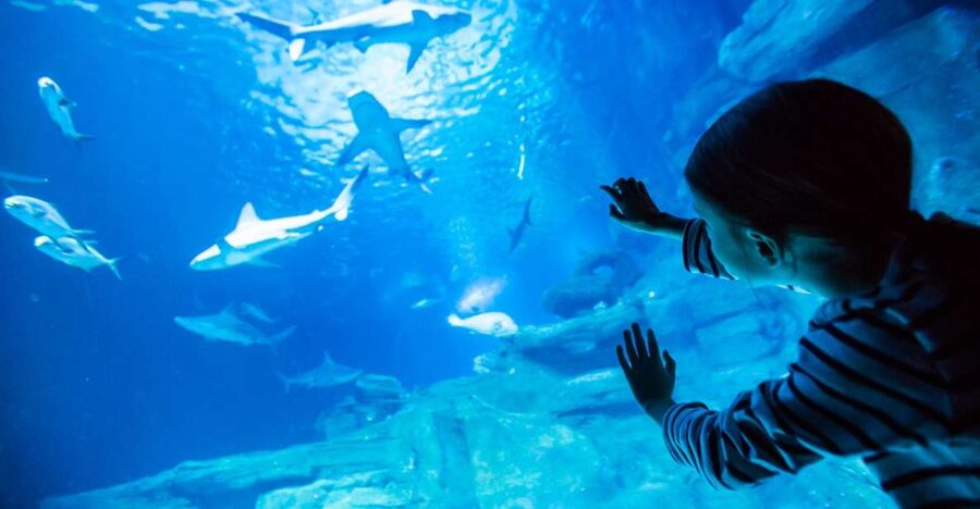 Paris: Aquarium de Paris Entrance Ticket - Key things to know before you go