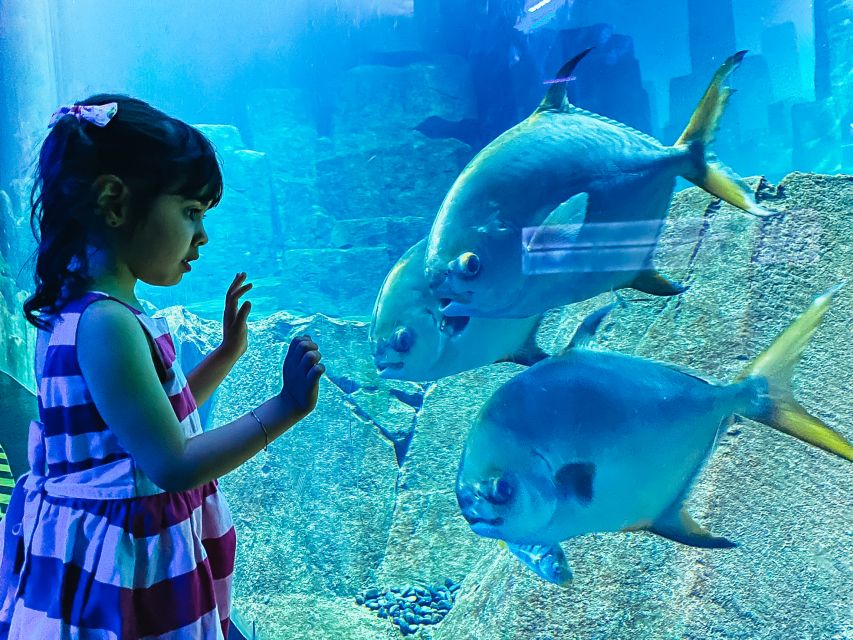 Paris: Aquarium de Paris Entrance Ticket - Best for families, quiet breaks, and first aquarium visits