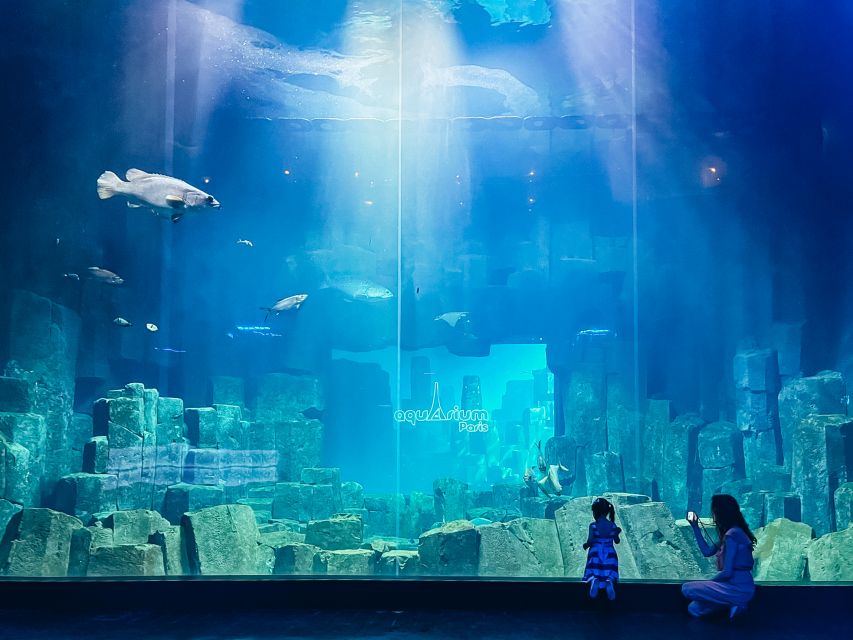 Paris: Aquarium de Paris Entrance Ticket - Finding the Aquarium beneath Trocadéro Gardens