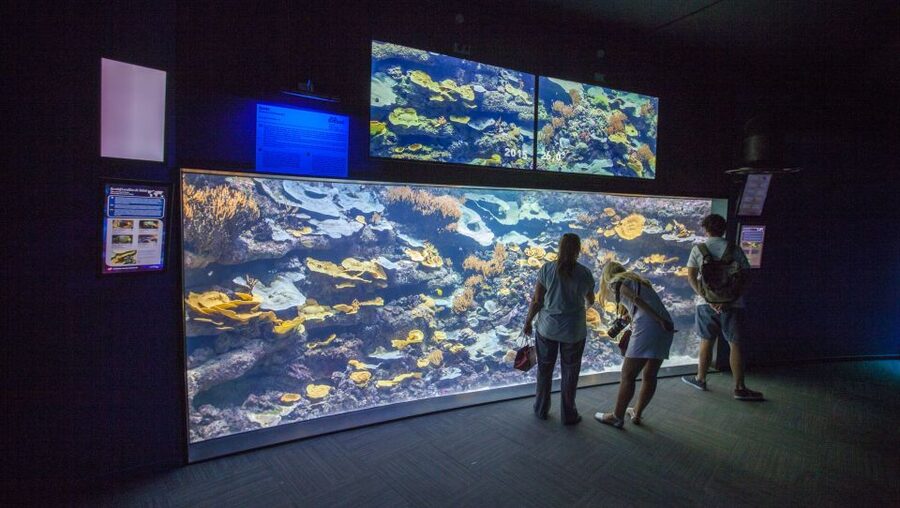 Paris: Aquarium de Paris Entrance Ticket - Workshops, films, and live shows