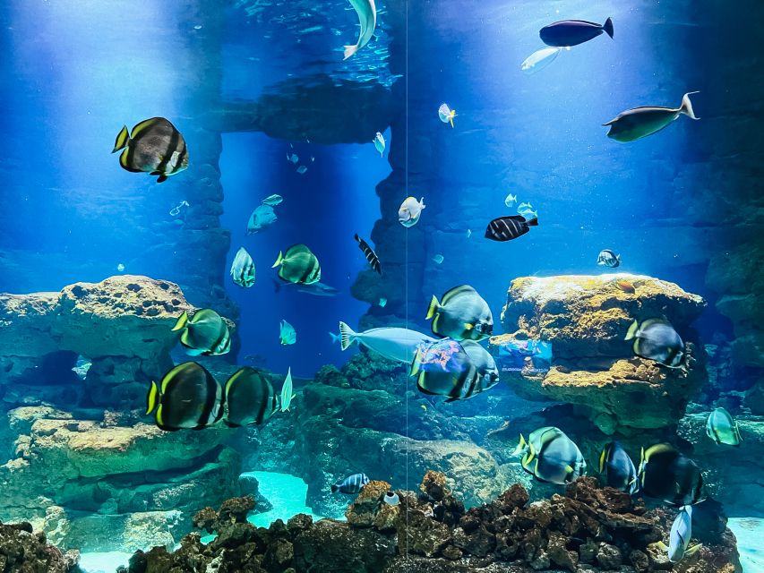 Paris: Aquarium de Paris Entrance Ticket - Is the $25 price good value?