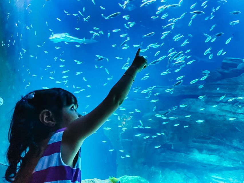 Paris: Aquarium de Paris Entrance Ticket - A self-guided route through 3,500 square meters