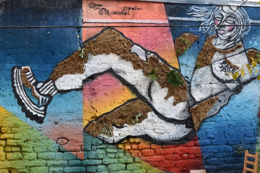Paris: Belleville Street Art Tour with an Artist - Meeting Your Artist Guide At Rue Villiers de l’Isle Adam