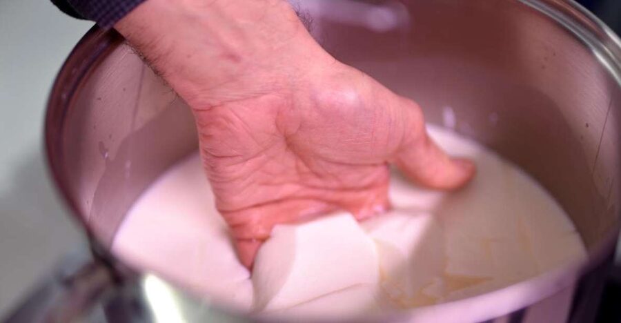 Paris: Butter and Cheesemaking Workshop - Meeting the cheese master at the Living Cheese Museum
