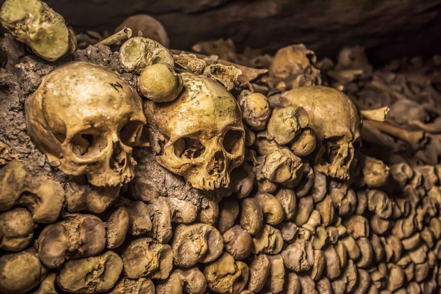Paris: Catacombs Restricted Access Tour - Restricted rooms that change the experience