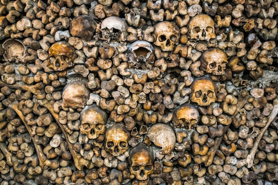 Paris: Catacombs Restricted Access Tour - Who should book this underground tour?