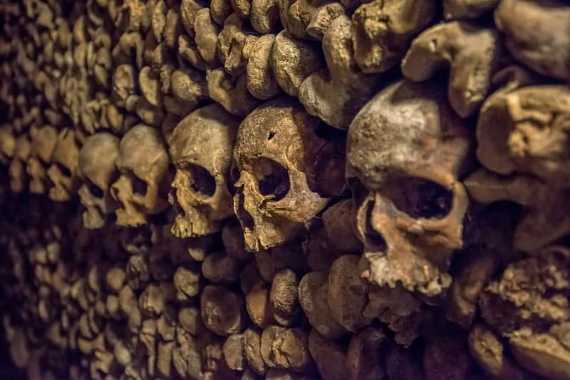 Paris: Catacombs Special Access Tour - Key points to know before you book