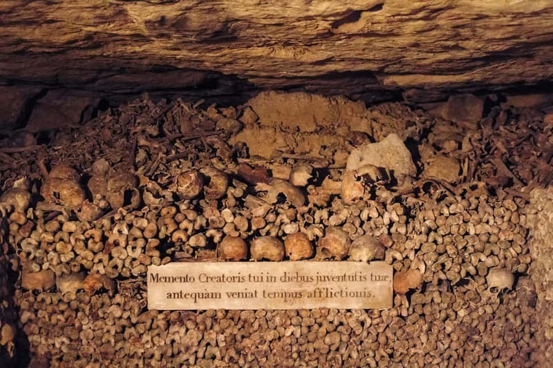 Paris: Catacombs Special Access Tour - Who will enjoy this tour most?