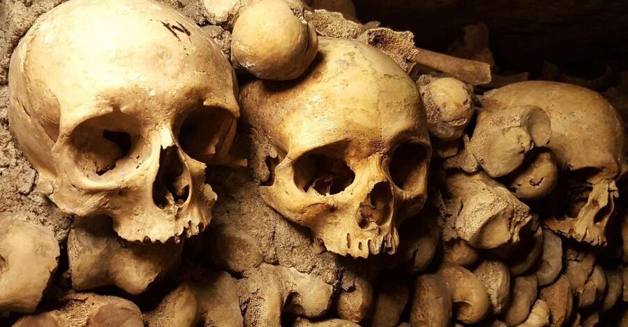 Paris: Catacombs Ticket and Seine River Cruise - Key points to know before booking