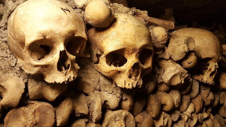 Paris: Catacombs Ticket and Seine River Cruise - Getting the tickets right