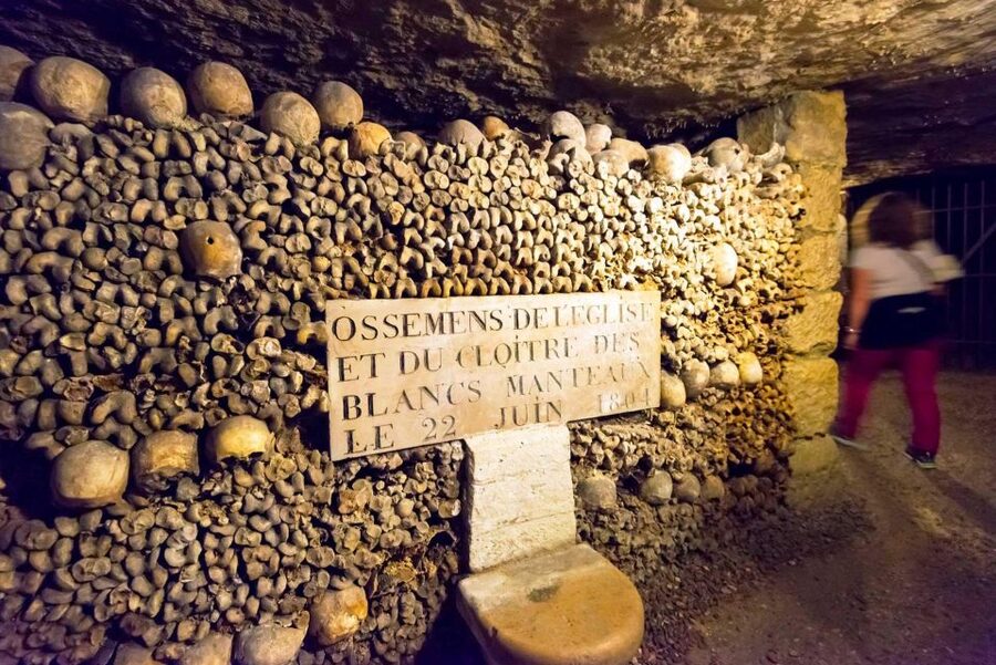 Paris: Catacombs Ticket and Seine River Cruise - Who should choose this experience?