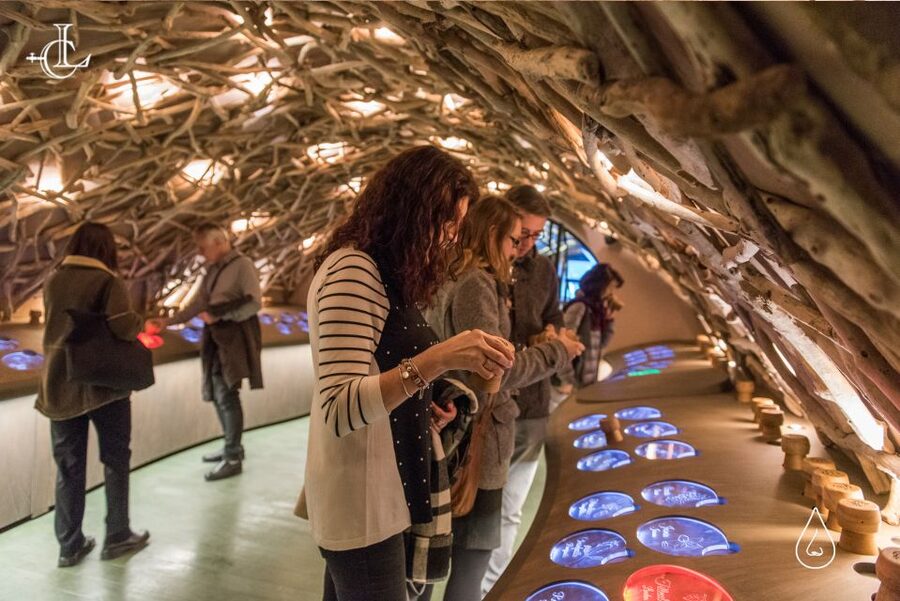 Paris: French Wine Experience in Parisian Cellar - Practical preparation for a smoother visit