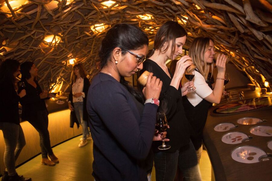 Paris: Les Caves du Louvre Guided Tour with Wine Tastings - Who will enjoy this experience most?
