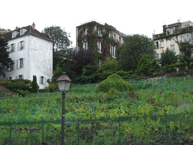 Paris: Montmartre Private Walking Tour - Starting beneath the Moulin Rouge at Metro Blanche