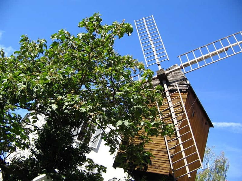 Paris: Montmartre Private Walking Tour - Climbing Rue Lepic through old Montmartre
