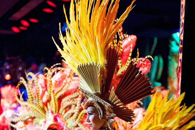 Paris Moulin Rouge 3-Courses Dinner with Wine and Show - What You See During Féerie