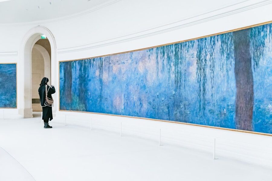 Paris: Orangerie Museum Skip-the-Line Entry and Guided Tour - Monet’s Water Lilies in the oval rooms