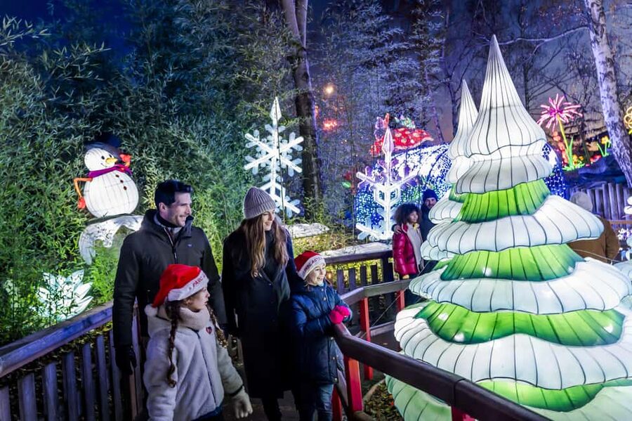 Paris: Parc Astérix Full-Day Entrance Ticket - Summer, Halloween, and Gaulish Christmas