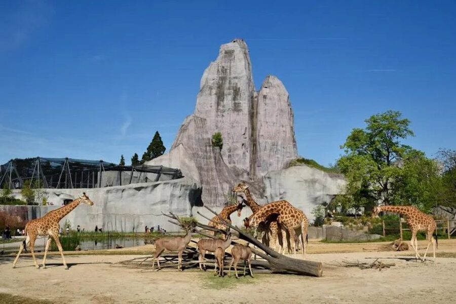 Paris: Paris Zoological Park Entrance Ticket - Europe and Madagascar: Smaller Animals With More Character