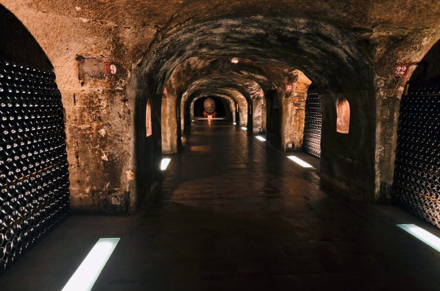 Paris: Private Day Trip to Champagne with 8 Tastings & Lunch - The Champagne masterclass
