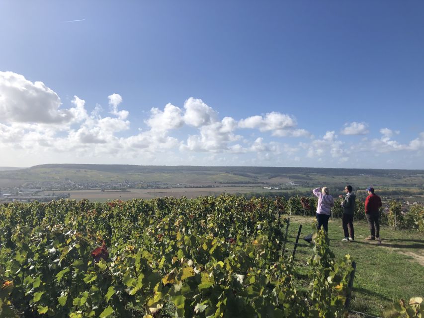 Paris: Private Day Trip to Champagne with 8 Tastings & Lunch - A smaller family-run Champagne house