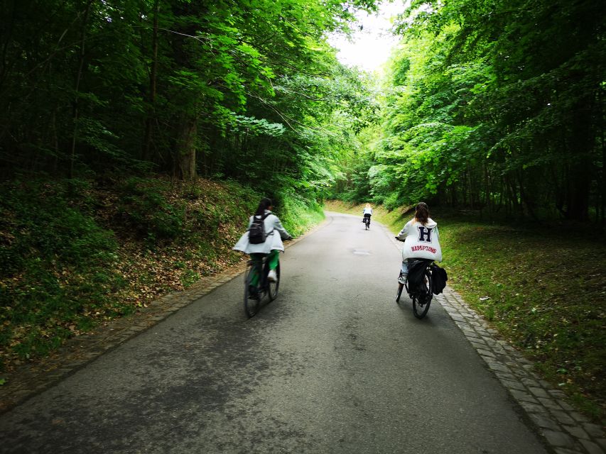 Paris: Versailles Palace and Queen Hamlet E-Bike Tour - Marnes-la-Coquette and the Fausses-Reposes forest