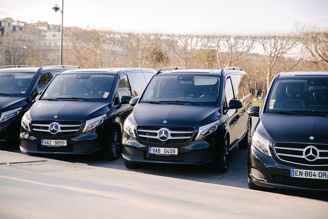Personalized Transport service from Disneyland to Paris - The vehicle and the ride itself