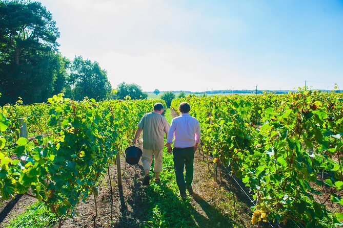 Picnic in the Vines - A Unique Loire Wine Experience - Walking the vineyards and learning about terroir