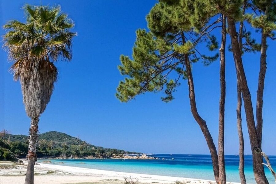 Porticcio: Coastal Train Ticket with Audio Guide & Tastings - Who Will Enjoy This Most?