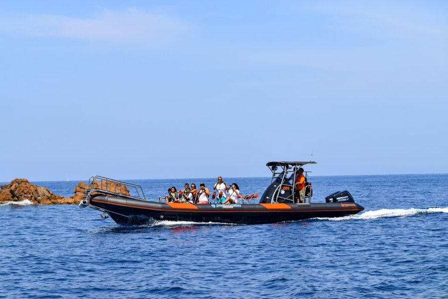 Porto: Scandola and Calanches of Piana Boat Trip - Booking flexibility and useful preparation