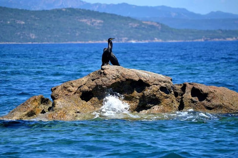 Porto-Vecchio : Boat Trip to Lavezzi, Caves & Bonifacio - Lavezzi Islands in a Protected Natural Setting