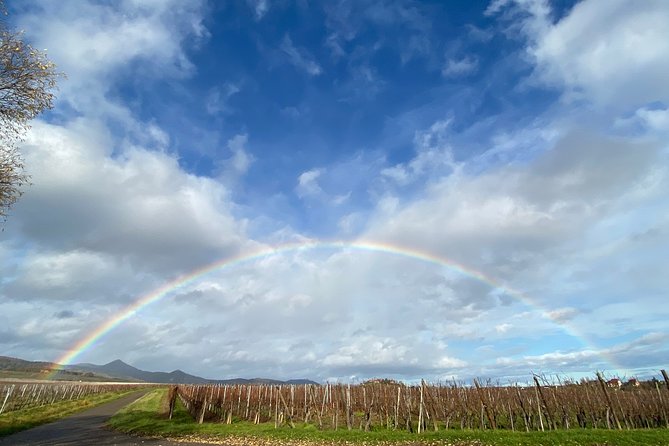 Private and customizable: Alsace Wine Route HIGHLIGHTS in 3 hours - Kaysersberg and its medieval castle