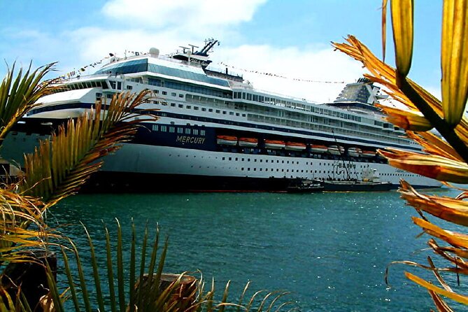 Private Customized French Riviera Tour from Port of Cannes 8H - What this private Cannes tour is really offering