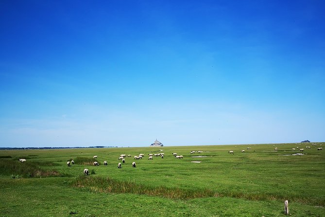 Private Day Tour of Mont Saint-Michel from Bayeux - What the guide adds to the experience