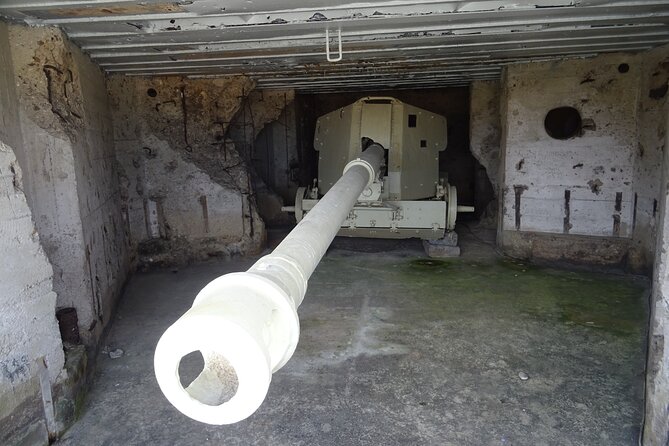 Private Day Tour Omaha beach and Pointe du Hoc - Colleville-sur-Mer American Cemetery