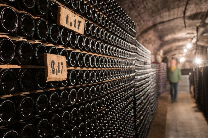 Private excursion to Côte de Beaune and Côte de Nuits (full day) - How the private format affects value