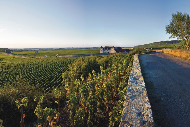 Private excursion to Côte de Beaune and Côte de Nuits (full day) - Learning why Burgundy bottles are so specific