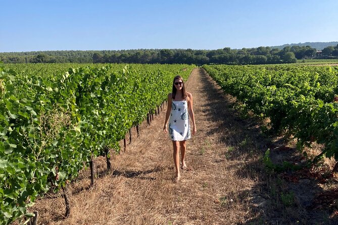 Private Full Day Wine Tour in Provence - Bandol and Cassis bring wine with a view