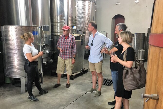 Private Full Day Wine Tour in Provence - Private transportation keeps the day simple