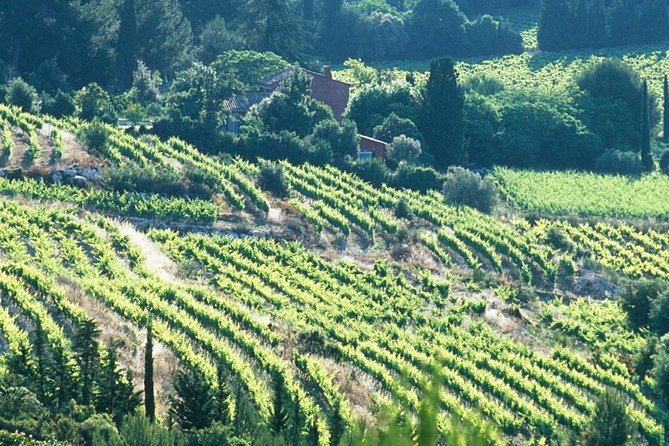 Private Full Day Wine Tour in Provence - Is $480.56 per person fair value?