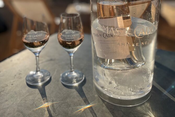 Private Full Day Wine Tour in Provence - Who will enjoy this private Provence tour most?