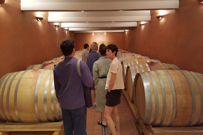 Private Full Day Wine Tour in Provence From Marseille cruise port - Lunch is flexible, but it is your expense
