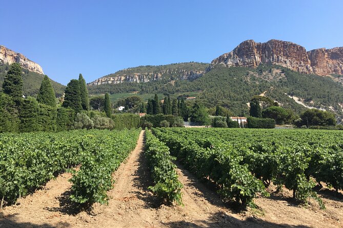 Private Full Day Wine Tour in Provence From Marseille cruise port - Who should book this Provence wine tour?