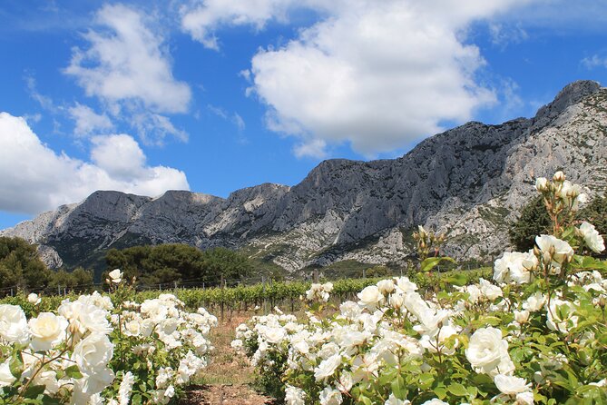 Private Full Day Wine Tour in Provence From Marseille cruise port - Two winery visits with time behind the scenes