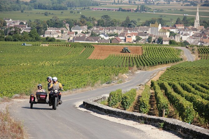 Private Guided Sidecar Tour in Burgundy from Meursault - Starting Beneath Meursault’s Tile-Topped Town Hall