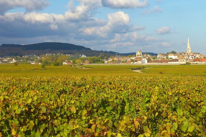Private Guided Sidecar Tour in Burgundy from Meursault - Puligny-Montrachet and the Famous Montrachet View