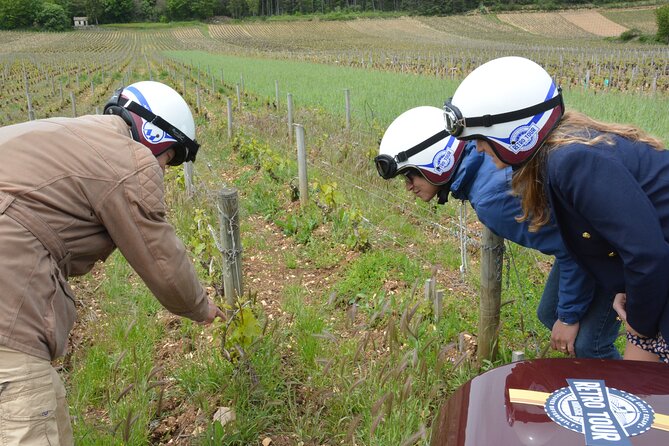 Private Guided Sidecar Tour in Burgundy from Meursault - Who Will Enjoy This Most?