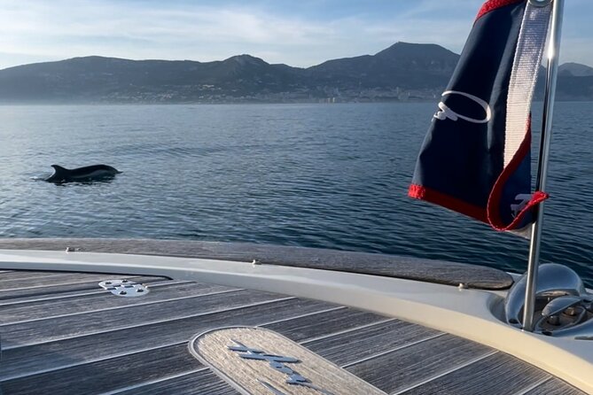 Private Luxury Boat Tour of the Beautiful Riviera Nice / Monaco - Cap-d’Ail, La Mala Beach, and the search for dolphins