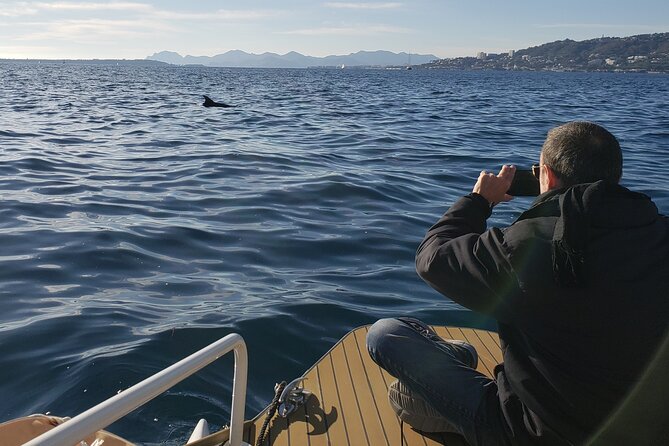 Private Solar Catamaran Cruise in Antibes Juan les Pins - Morning, afternoon, or sunset?